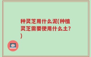 种灵芝用什么泥(种植灵芝需要使用什么土？)