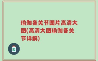 瑜伽各关节图片高清大图(高清大图瑜伽各关节详解)