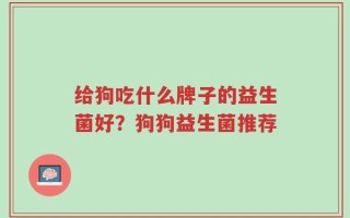 给狗吃什么牌子的益生菌好？狗狗益生菌推荐