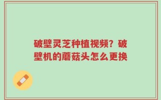 破壁灵芝种植视频？破壁机的蘑菇头怎么更换