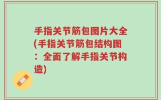手指关节筋包图片大全(手指关节筋包结构图：全面了解手指关节构造)
