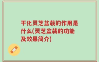 干化灵芝盆栽的作用是什么(灵芝盆栽的功能及效果简介)