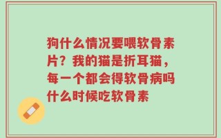 狗什么情况要喂软骨素片？我的猫是折耳猫，每一个都会得软骨病吗什么时候吃软骨素