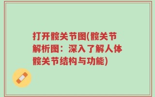 打开髋关节图(髋关节解析图：深入了解人体髋关节结构与功能)