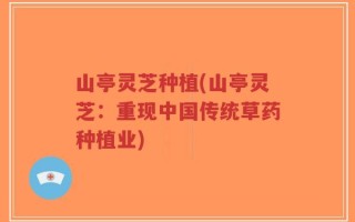 山亭灵芝种植(山亭灵芝：重现中国传统草药种植业)