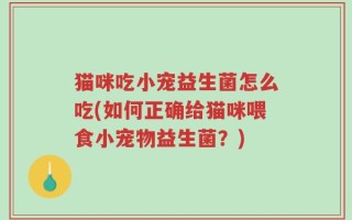 猫咪吃小宠益生菌怎么吃(如何正确给猫咪喂食小宠物益生菌？)