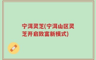 宁洱灵芝(宁洱山区灵芝开启致富新模式)
