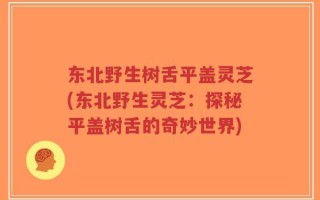 东北野生树舌平盖灵芝(东北野生灵芝：探秘平盖树舌的奇妙世界)