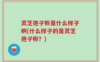灵芝孢子粉是什么样子啊(什么样子的是灵芝孢子粉？)