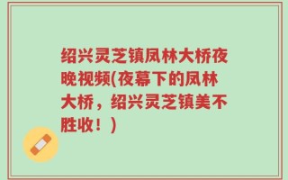 绍兴灵芝镇凤林大桥夜晚视频(夜幕下的凤林大桥，绍兴灵芝镇美不胜收！)