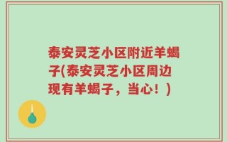 泰安灵芝小区附近羊蝎子(泰安灵芝小区周边现有羊蝎子，当心！)