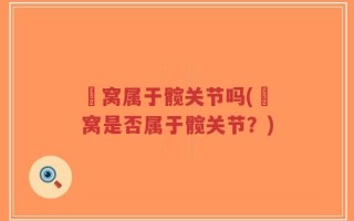 腘窝属于髋关节吗(腘窝是否属于髋关节？)
