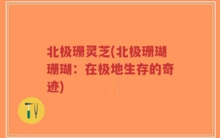 北极珊灵芝(北极珊瑚珊瑚：在极地生存的奇迹)