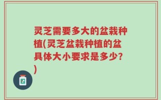 灵芝需要多大的盆栽种植(灵芝盆栽种植的盆具体大小要求是多少？)