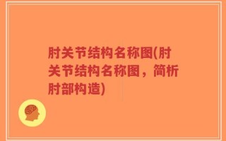 肘关节结构名称图(肘关节结构名称图，简析肘部构造)