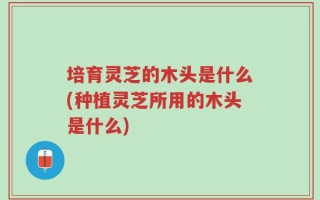 培育灵芝的木头是什么(种植灵芝所用的木头是什么)