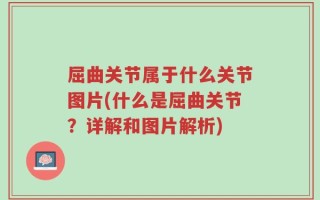 屈曲关节属于什么关节图片(什么是屈曲关节？详解和图片解析)