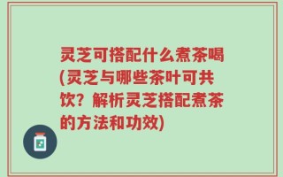 灵芝可搭配什么煮茶喝(灵芝与哪些茶叶可共饮？解析灵芝搭配煮茶的方法和功效)
