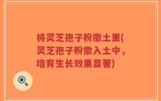 将灵芝孢子粉撒土里(灵芝孢子粉撒入土中，培育生长效果显著)