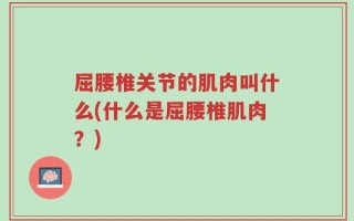 屈腰椎关节的肌肉叫什么(什么是屈腰椎肌肉？)