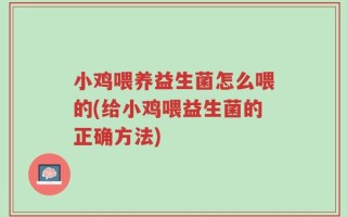 小鸡喂养益生菌怎么喂的(给小鸡喂益生菌的正确方法)