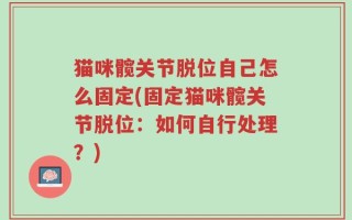 猫咪髋关节脱位自己怎么固定(固定猫咪髋关节脱位：如何自行处理？)