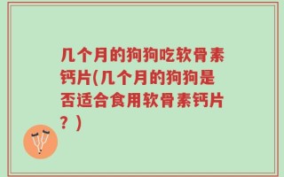 几个月的狗狗吃软骨素钙片(几个月的狗狗是否适合食用软骨素钙片？)