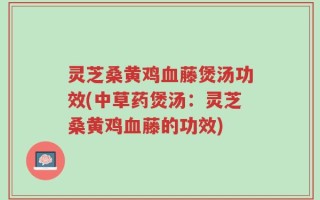 灵芝桑黄鸡血藤煲汤功效(中草药煲汤：灵芝桑黄鸡血藤的功效)