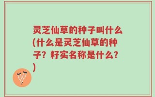 灵芝仙草的种子叫什么(什么是灵芝仙草的种子？籽实名称是什么？)