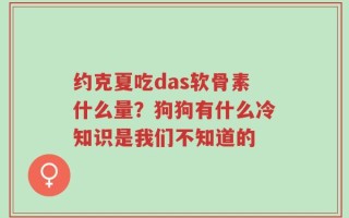 约克夏吃das软骨素什么量？狗狗有什么冷知识是我们不知道的