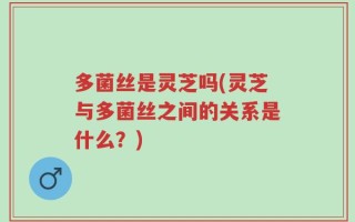 多菌丝是灵芝吗(灵芝与多菌丝之间的关系是什么？)
