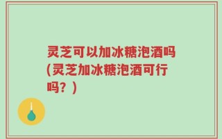 灵芝可以加冰糖泡酒吗(灵芝加冰糖泡酒可行吗？)