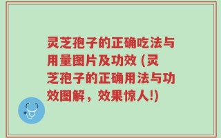 灵芝孢子的正确吃法与用量图片及功效 (灵芝孢子的正确用法与功效图解，效果惊人!)