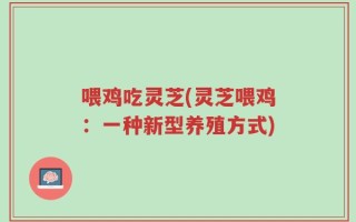 喂鸡吃灵芝(灵芝喂鸡：一种新型养殖方式)