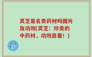 灵芝是名贵药材吗图片及功效(灵芝：珍贵的中药材，功效显著！)