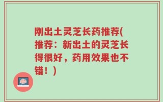 刚出土灵芝长药推荐(推荐：新出土的灵芝长得很好，药用效果也不错！)