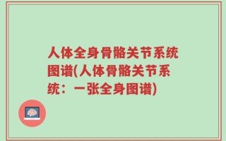 人体全身骨骼关节系统图谱(人体骨骼关节系统：一张全身图谱)