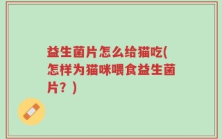 益生菌片怎么给猫吃(怎样为猫咪喂食益生菌片？)