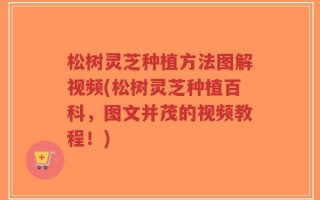 松树灵芝种植方法图解视频(松树灵芝种植百科，图文并茂的视频教程！)