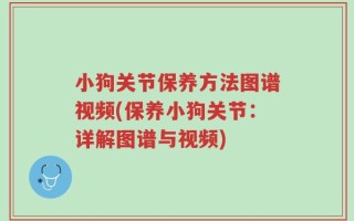 小狗关节保养方法图谱视频(保养小狗关节：详解图谱与视频)