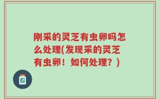 刚采的灵芝有虫卵吗怎么处理(发现采的灵芝有虫卵！如何处理？)