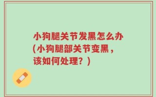 小狗腿关节发黑怎么办(小狗腿部关节变黑，该如何处理？)