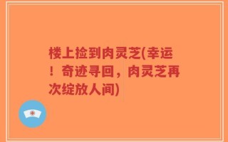楼上捡到肉灵芝(幸运！奇迹寻回，肉灵芝再次绽放人间)
