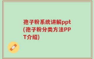 孢子粉系统讲解ppt(孢子粉分类方法PPT介绍)