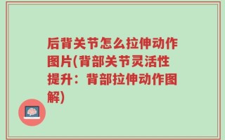 后背关节怎么拉伸动作图片(背部关节灵活性提升：背部拉伸动作图解)