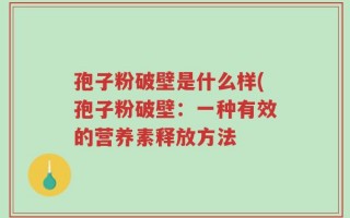 孢子粉破壁是什么样(孢子粉破壁：一种有效的营养素释放方法