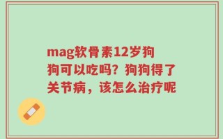 mag软骨素12岁狗狗可以吃吗？狗狗得了关节病，该怎么治疗呢