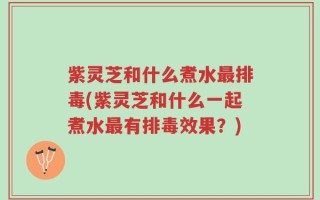 紫灵芝和什么煮水最排毒(紫灵芝和什么一起煮水最有排毒效果？)