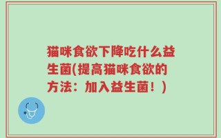 猫咪食欲下降吃什么益生菌(提高猫咪食欲的方法：加入益生菌！)