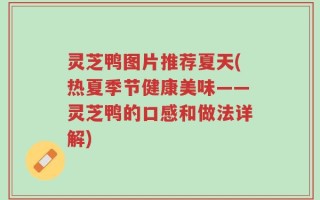 灵芝鸭图片推荐夏天(热夏季节健康美味——灵芝鸭的口感和做法详解)